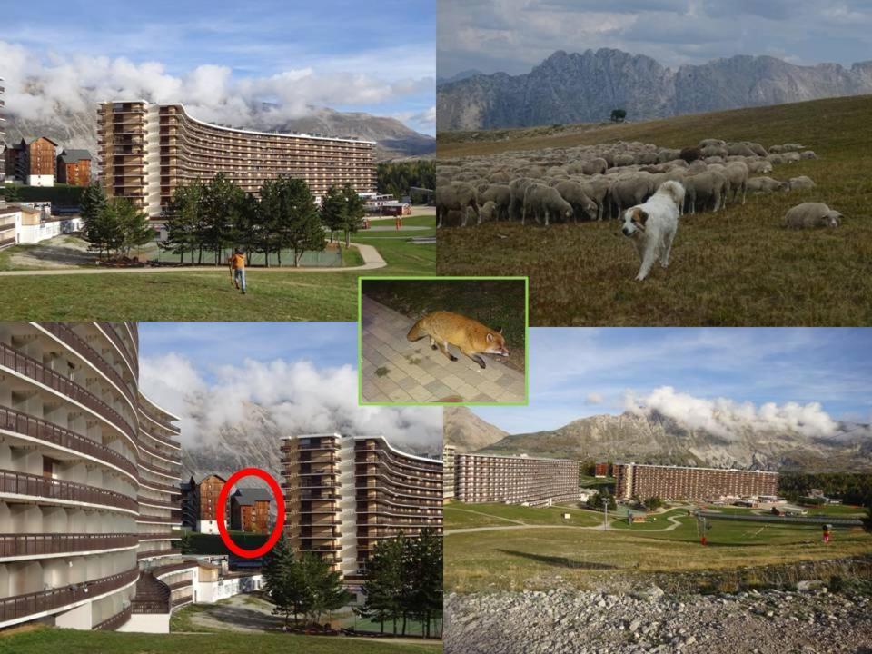 Saint-Étienne-en-Dévoluy Appartement 8-10 Personnes Superdevoluy Hautes Alpes Rez De Chaussee Vue Panoramique 3 Chambres מראה חיצוני תמונה