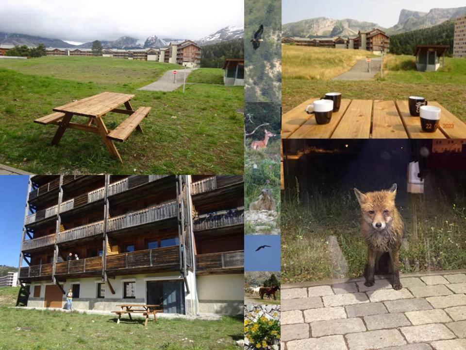 Saint-Étienne-en-Dévoluy Appartement 8-10 Personnes Superdevoluy Hautes Alpes Rez De Chaussee Vue Panoramique 3 Chambres מראה חיצוני תמונה